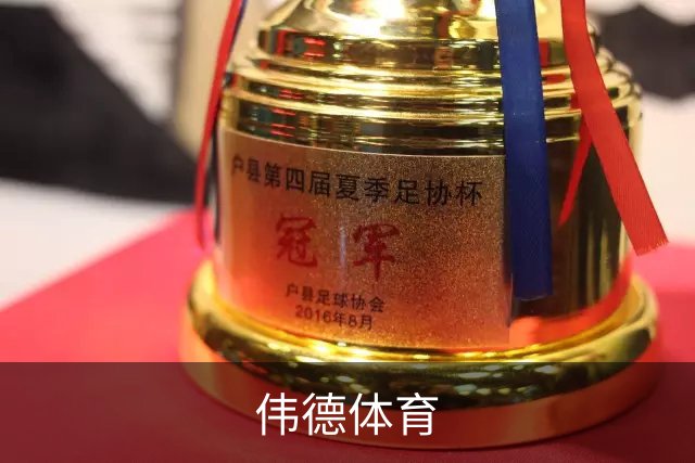 伟德体育公司介绍